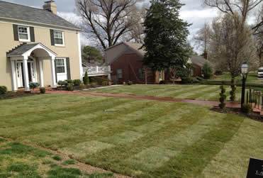 Lawn Maintenance project photo 1