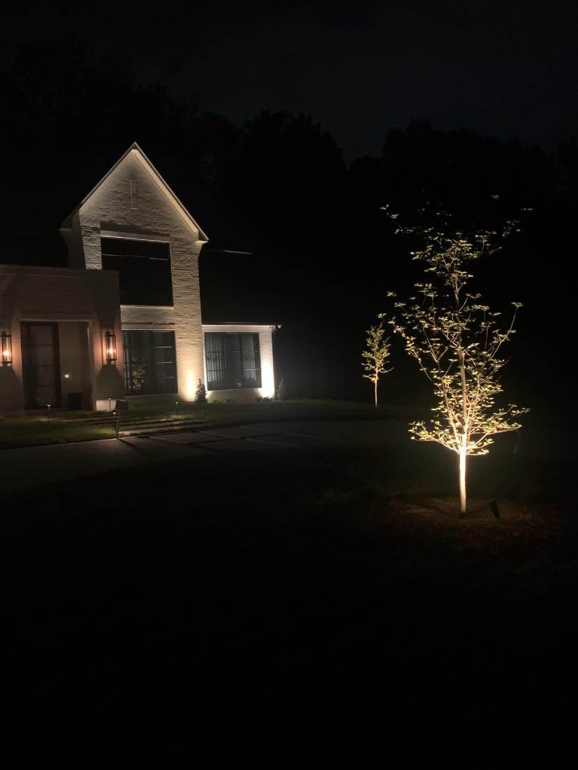 Landscape Lighting project photo 3