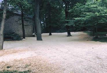 Landscaping Design project by Hobgood Landscaping