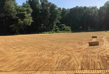 Dirt Work project by Hobgood Landscaping