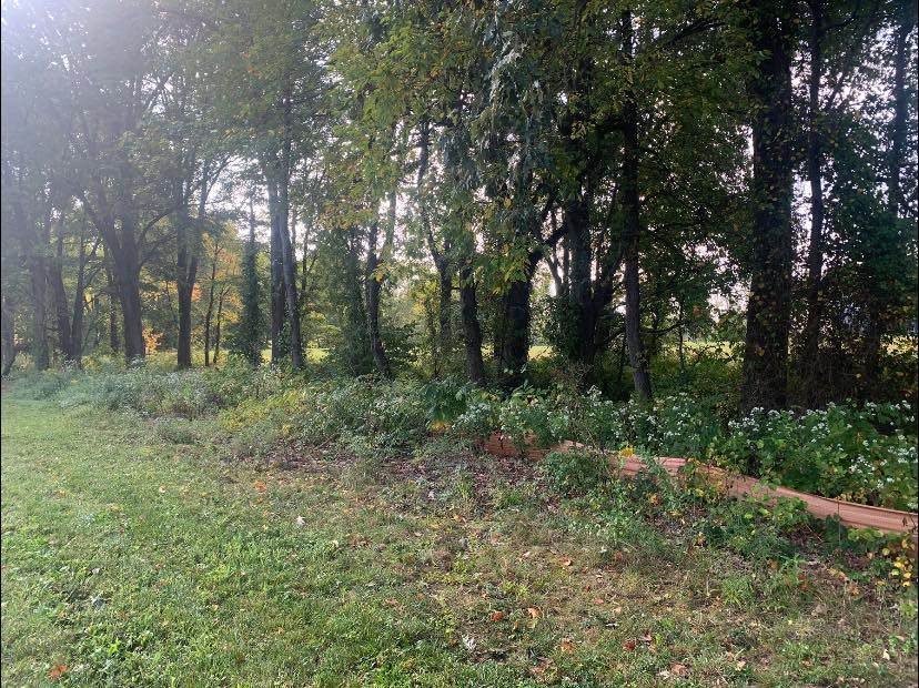 Lawn Maintenance project by Hobgood Landscaping