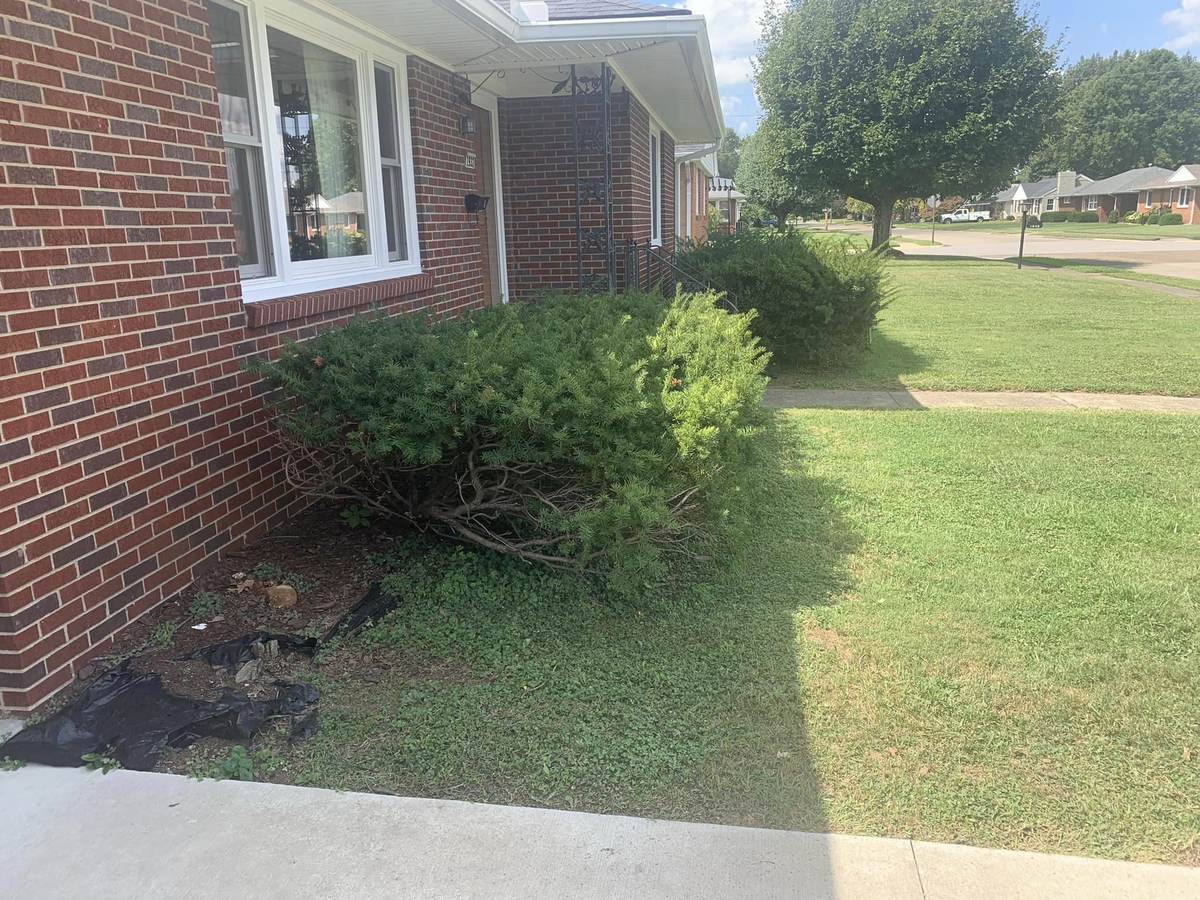 Lawn Maintenance project by Hobgood Landscaping