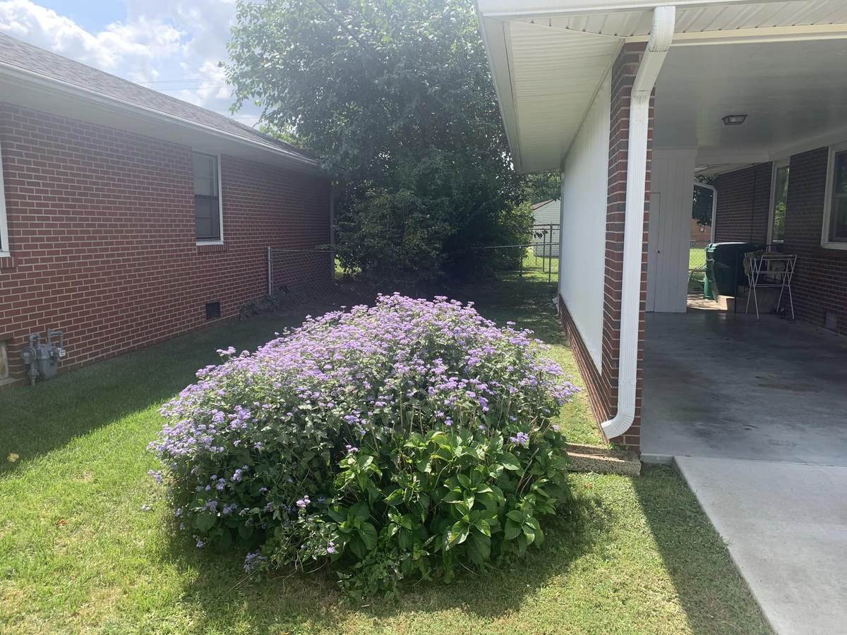 Lawn Maintenance project by Hobgood Landscaping