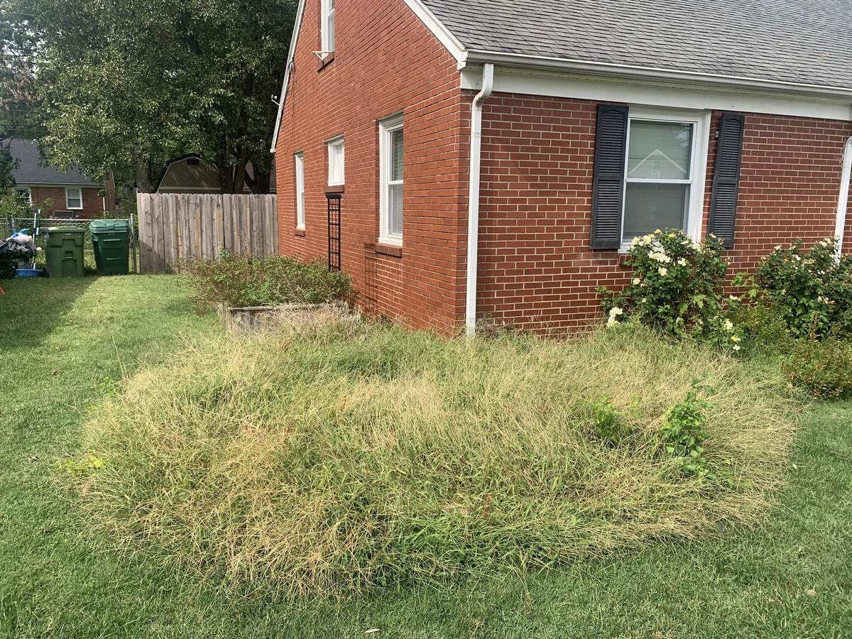 Lawn Maintenance project by Hobgood Landscaping