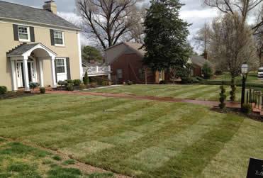 Lawn Maintenance